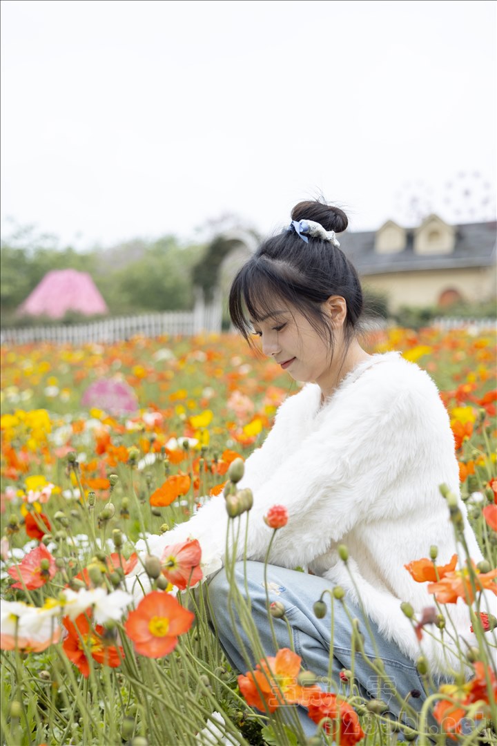 她们印象 No.006 天天 [167P1V-4.55GB]推荐预览图